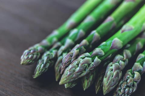 Spargel Frisch geernet in der saison mit lila kopf