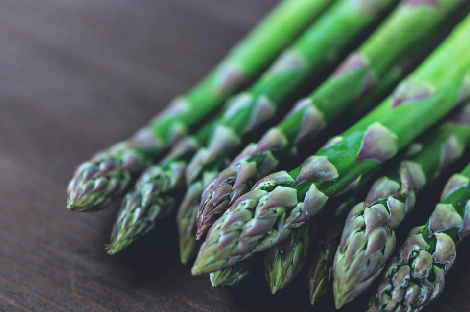 Spargel Frisch geernet in der saison mit lila kopf