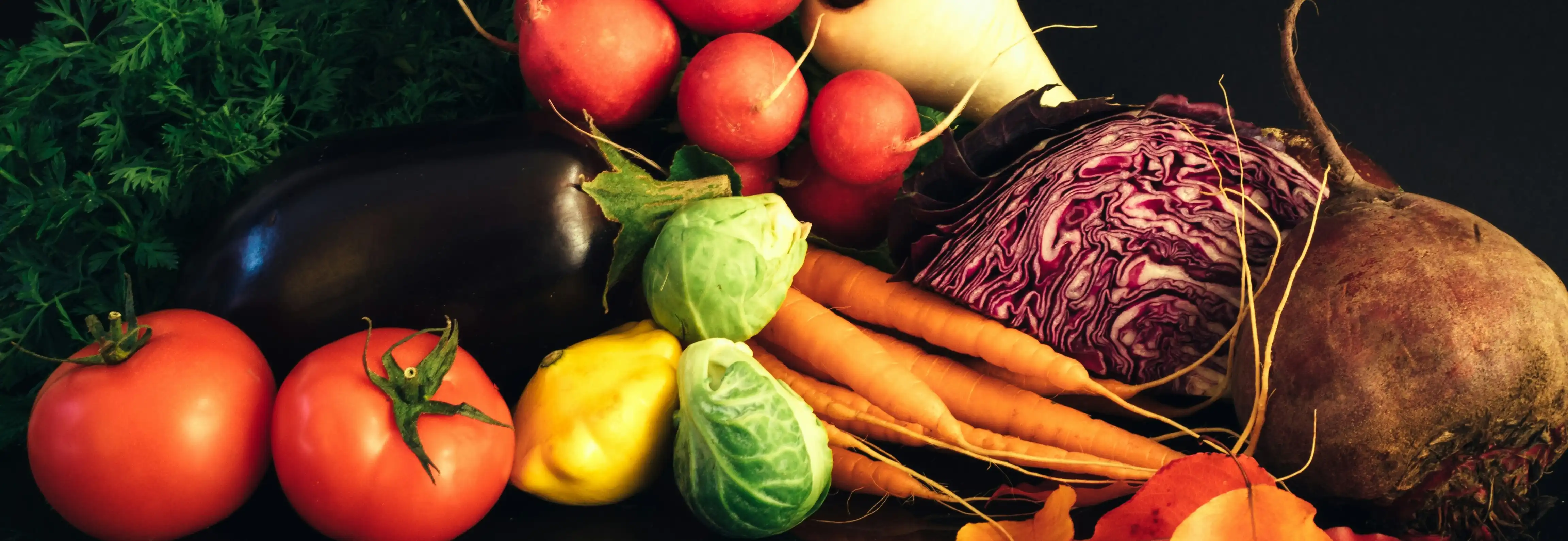 Hintergrund für die Farmerino FAQ – Häufig gestellte Fragen