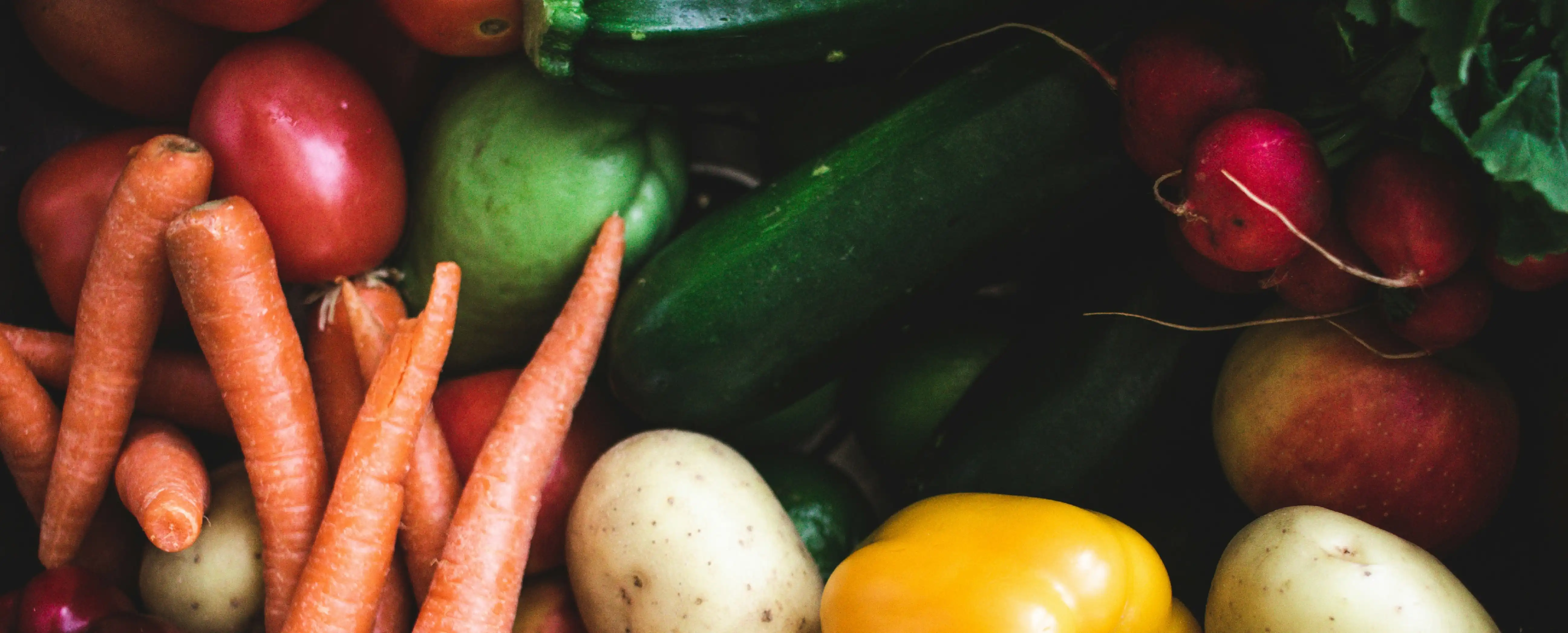 Hintergrund für das Farmerino Lexikon – Begriffe rund um regionale Lebensmittel