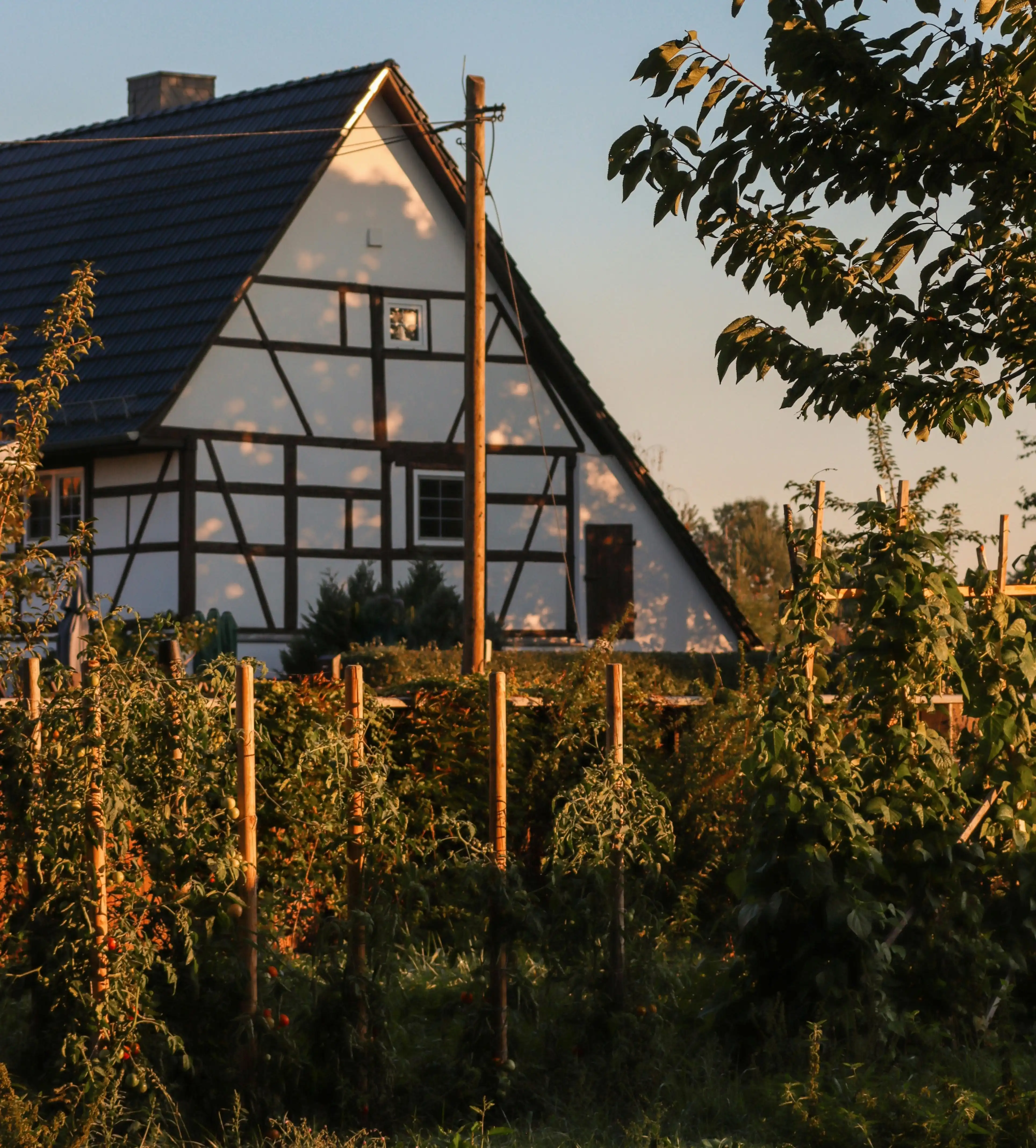 Kleiner Bauernhof mit Fachwerkhaus und Gemüsegarten im ländlichen Raum