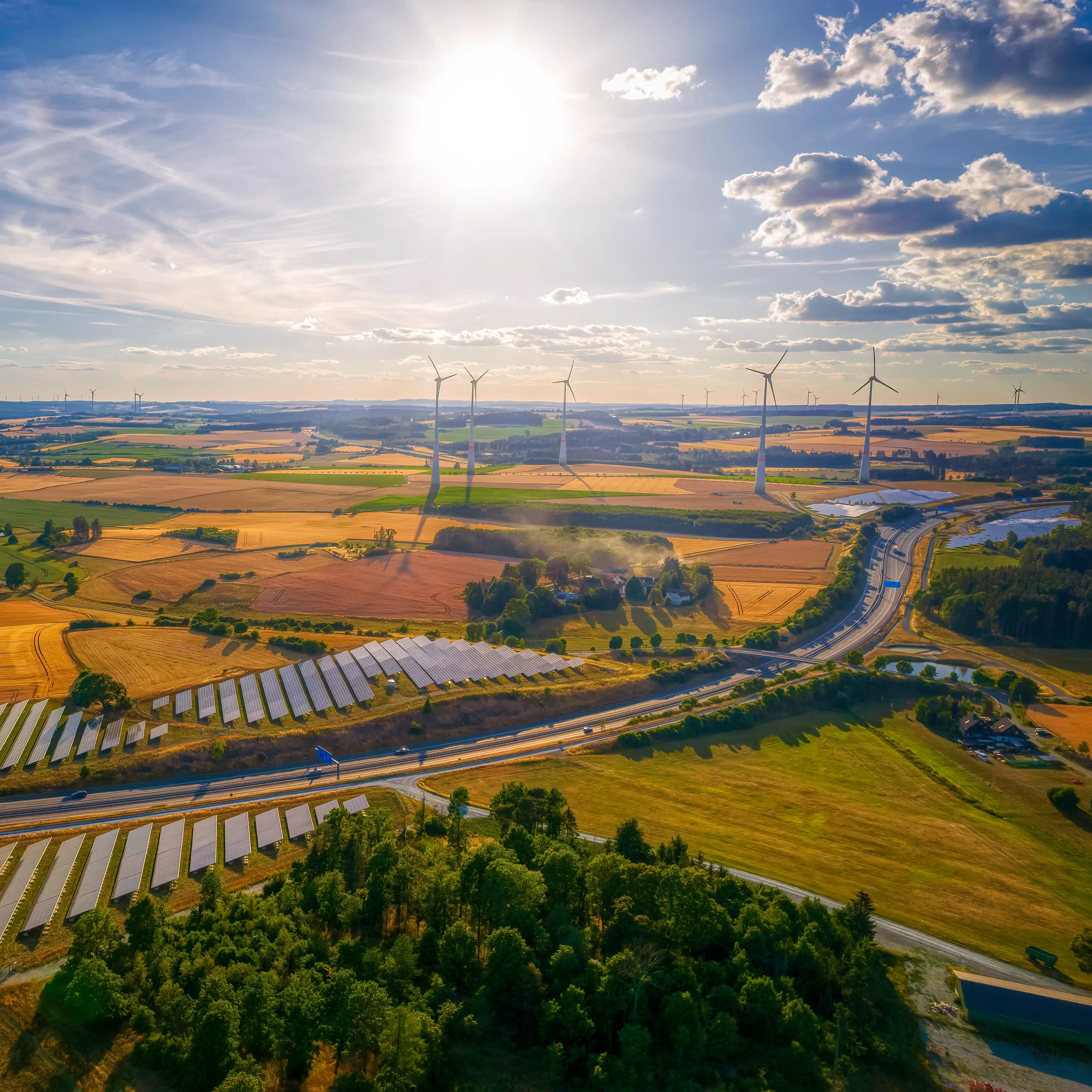 Umweltvorteile von Farmerino: Direktvermarktung von regionalen Lebensmitteln